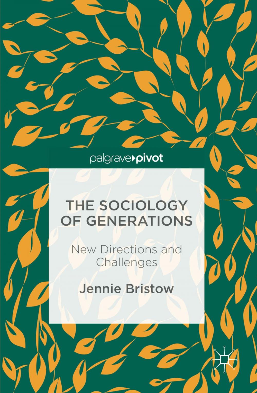 Big bigCover of The Sociology of Generations