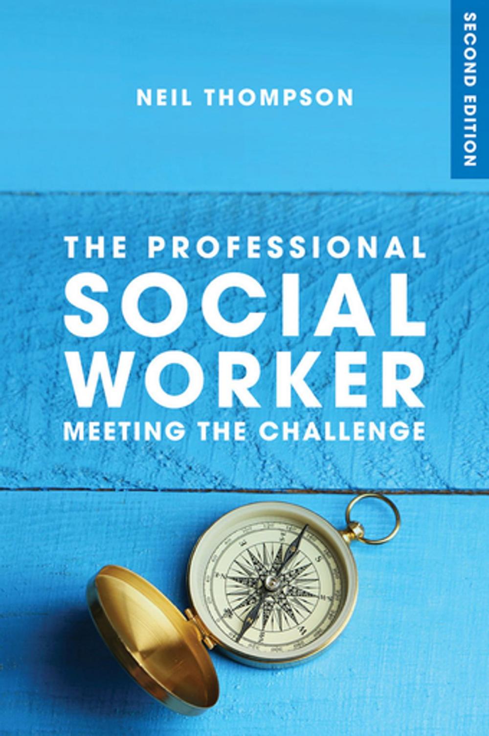 Big bigCover of The Professional Social Worker