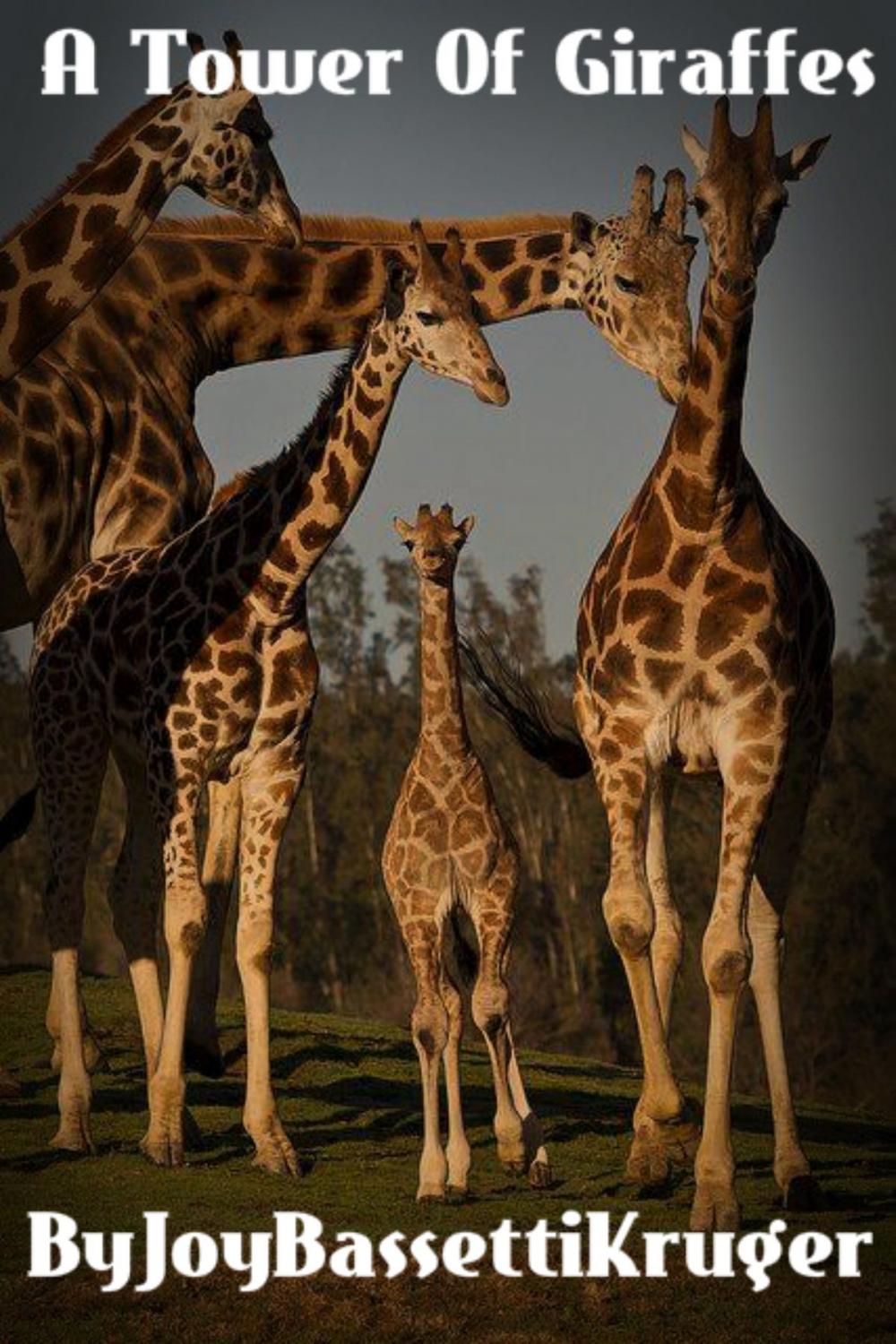 Big bigCover of A Tower Of Giraffes