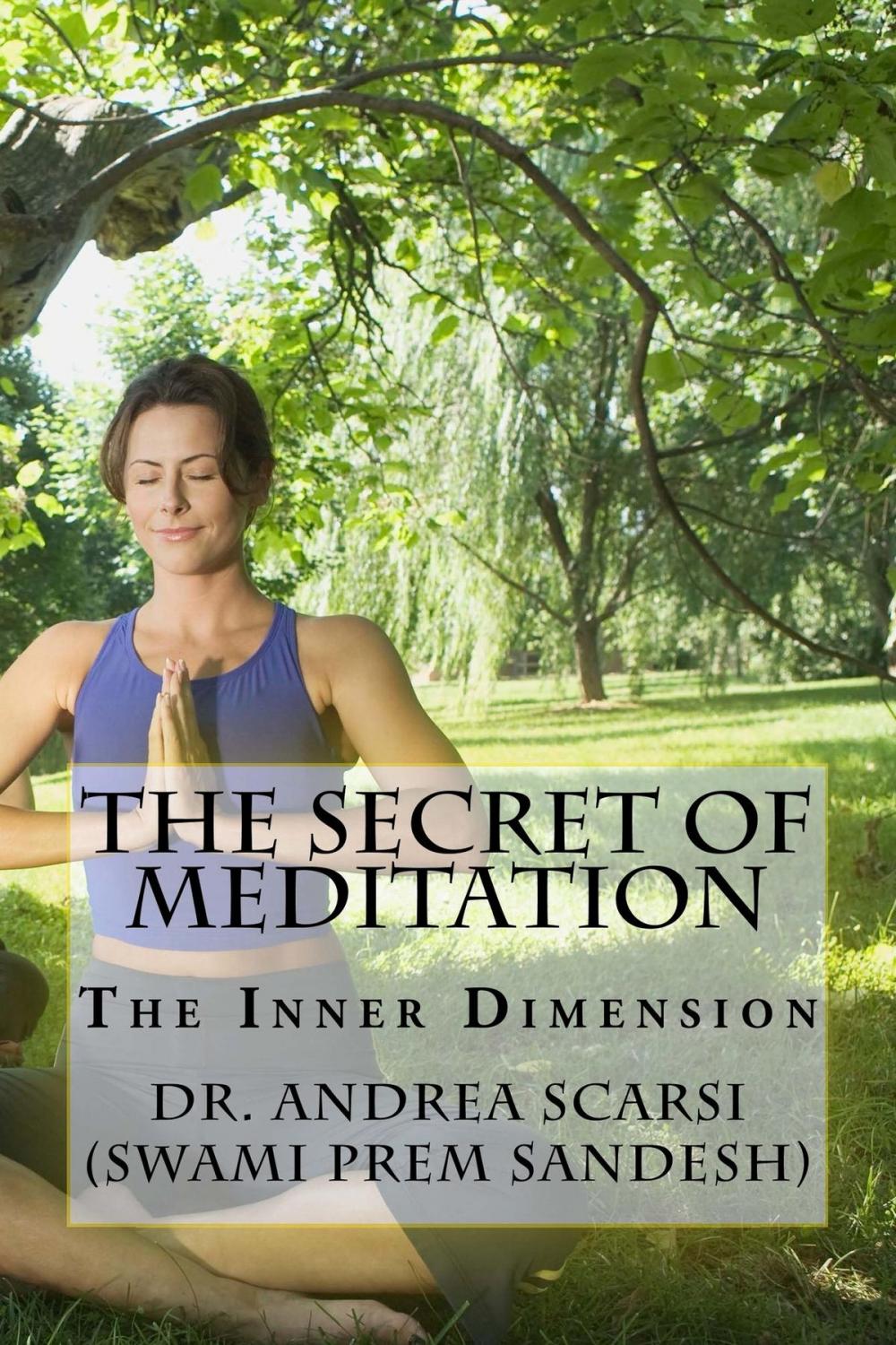 Big bigCover of The Secret of Meditation