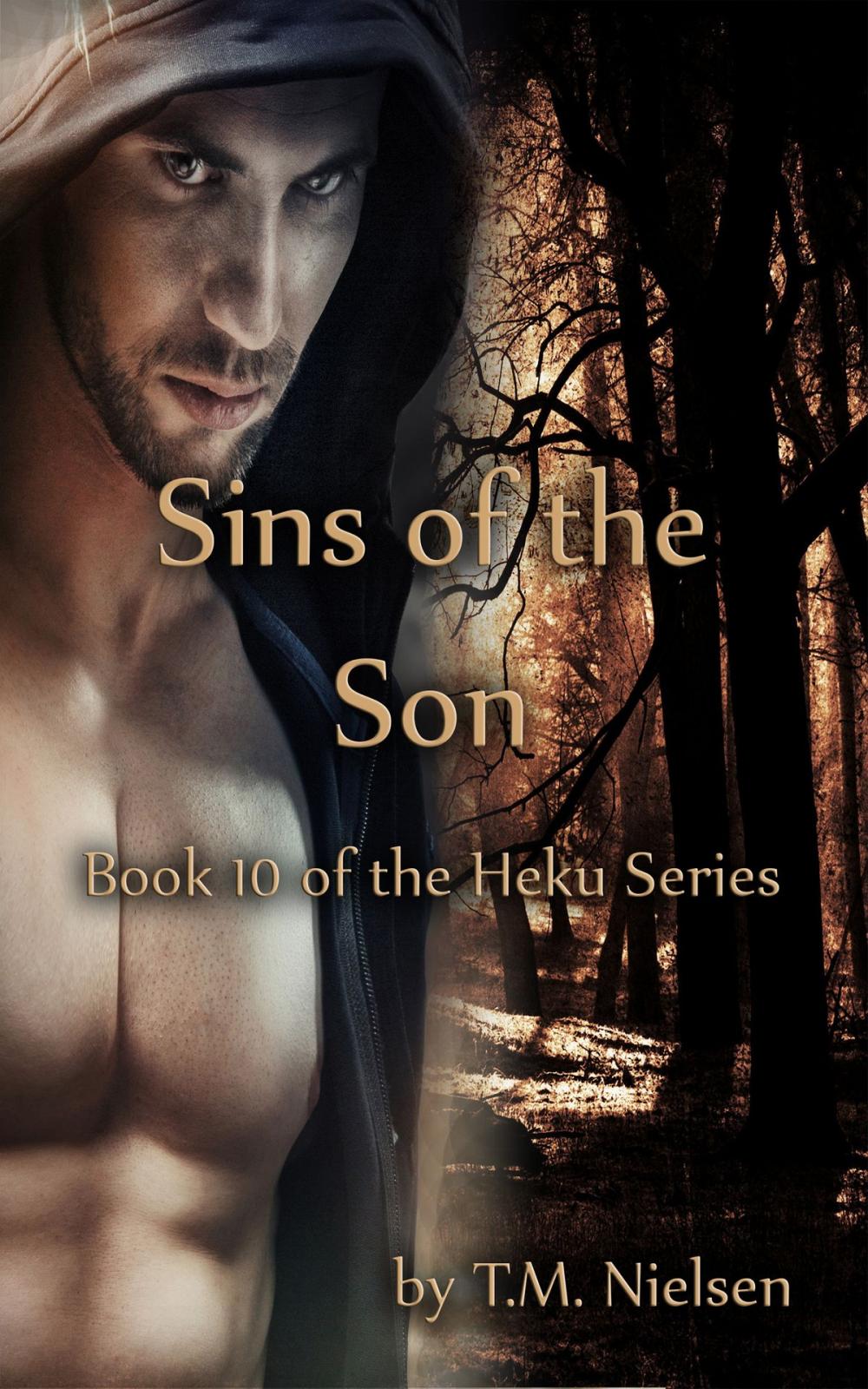 Big bigCover of Sins of the Son: Book 10 of the Heku Series