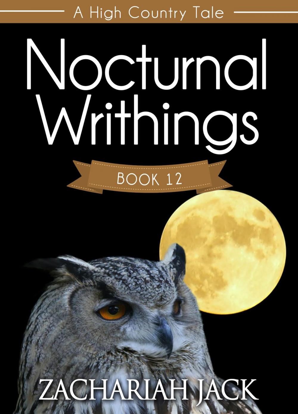 Big bigCover of A High Country Tale: The Twelfth Tale-- Nocturnal Writhings, A Stickshift Saga