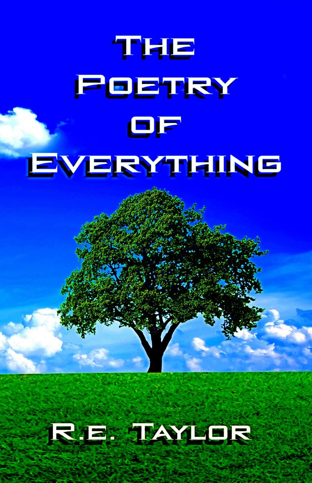 Big bigCover of The Poetry of Everything