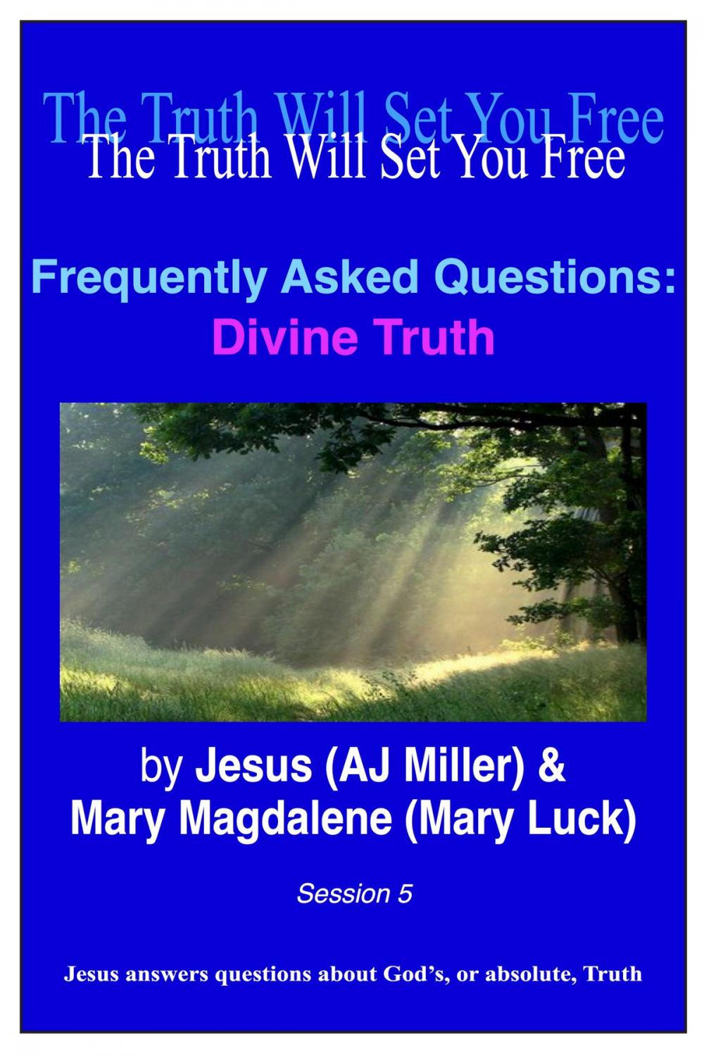 Big bigCover of Frequently Asked Questions: Divine Truth Session 5