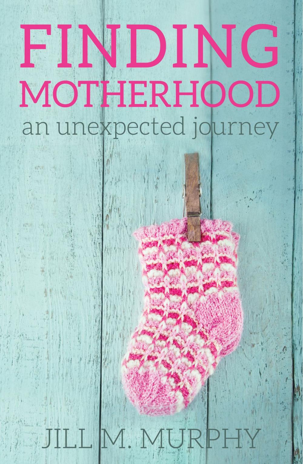Big bigCover of Finding Motherhood: An Unexpected Journey