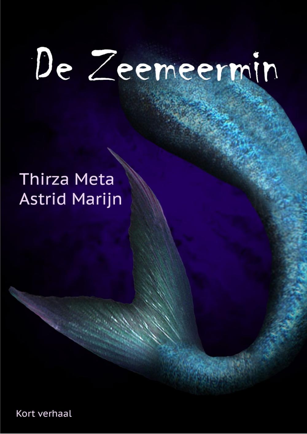 Big bigCover of De Zeemeermin