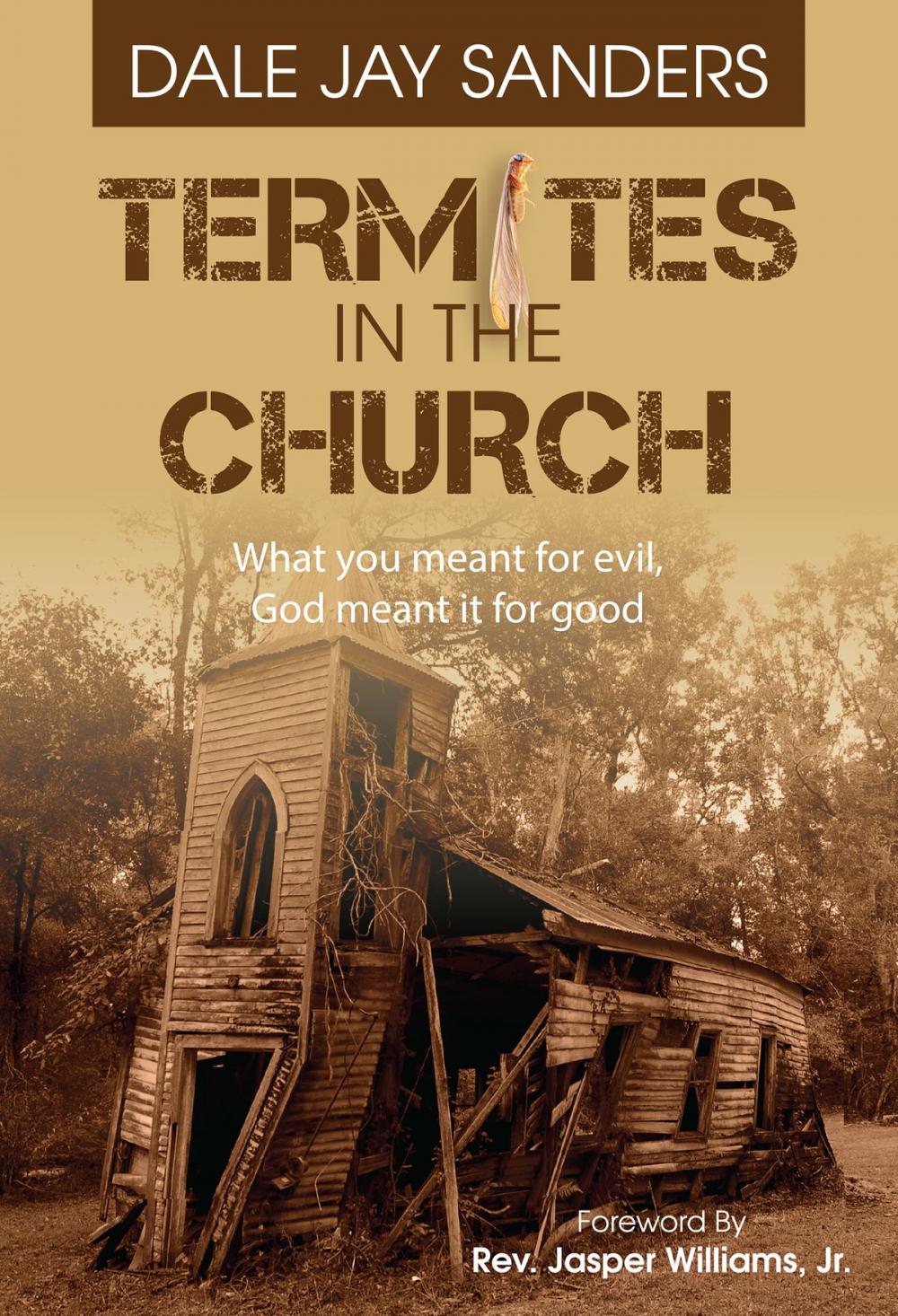 Big bigCover of Termites in the Church