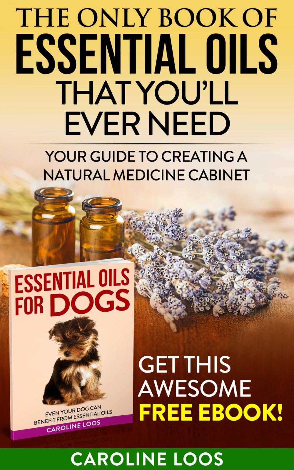 Big bigCover of The Only Book of Essential Oils that You’ll Ever Need