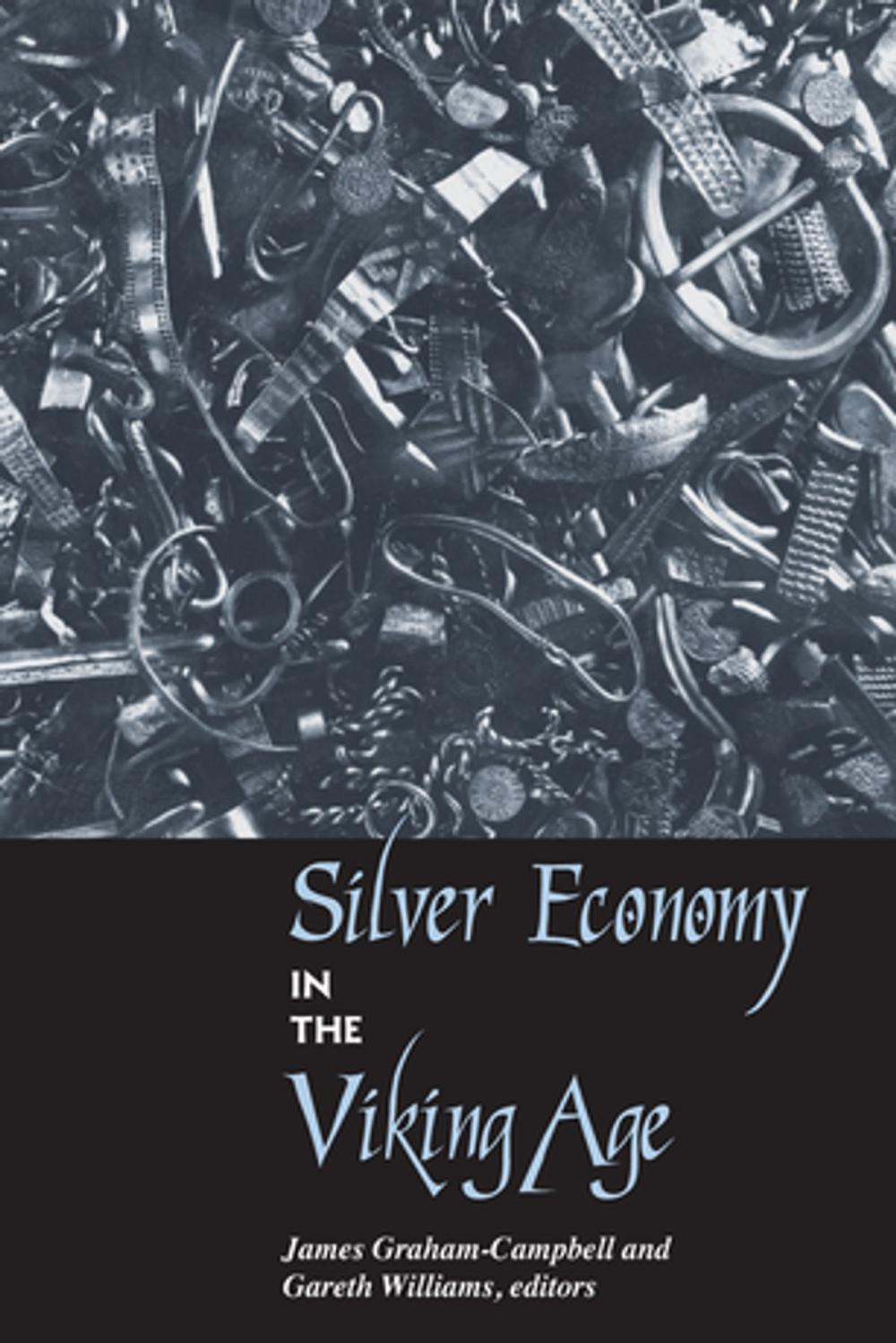 Big bigCover of Silver Economy in the Viking Age