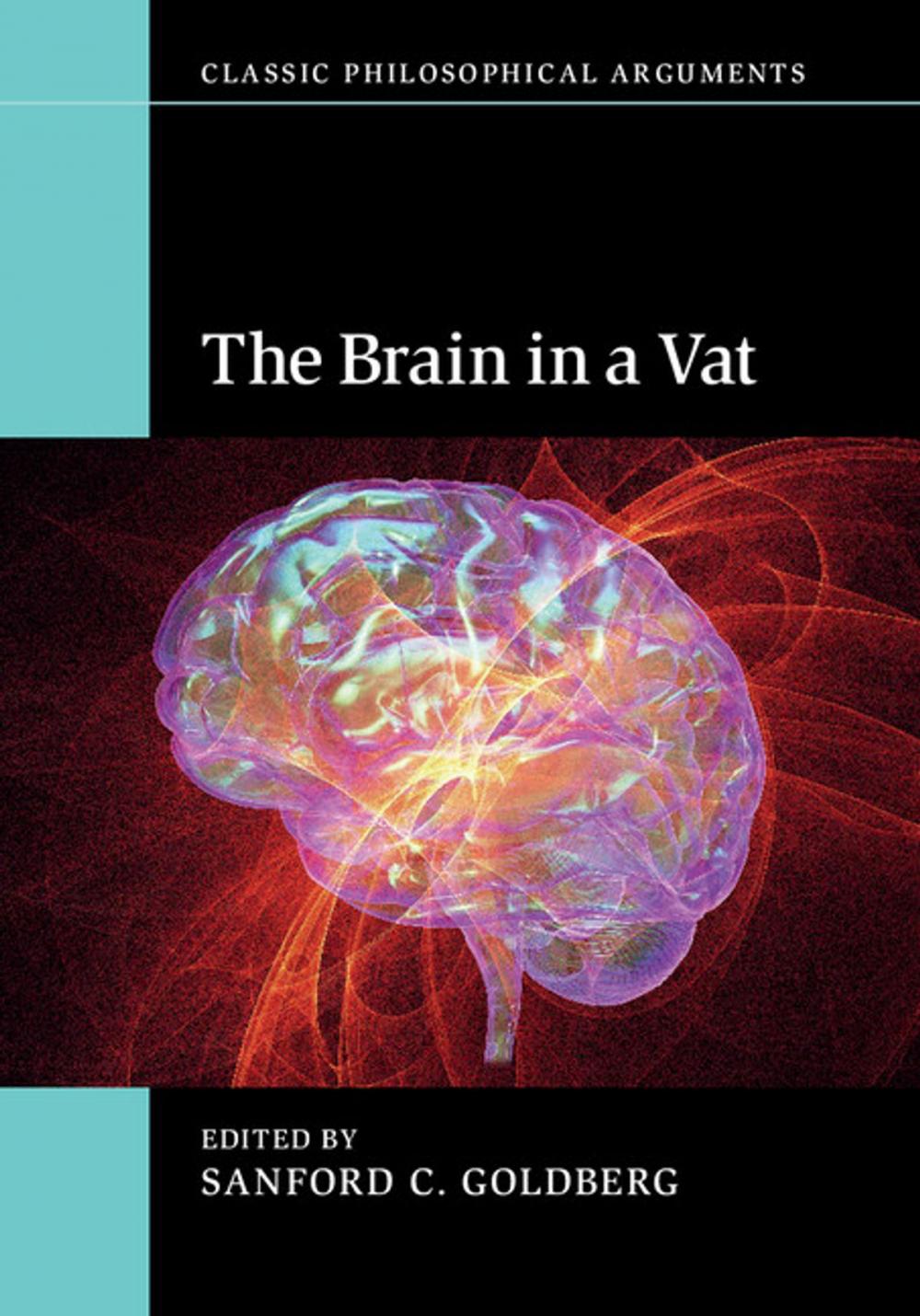 Big bigCover of The Brain in a Vat