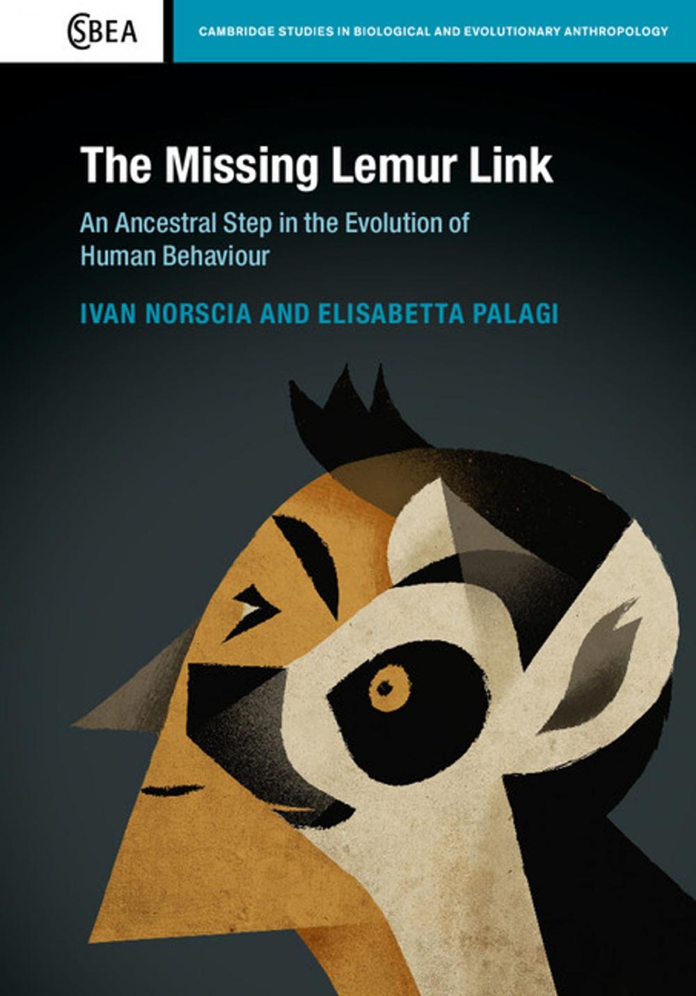 Big bigCover of The Missing Lemur Link