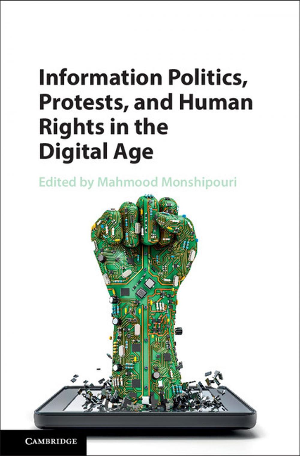 Big bigCover of Information Politics, Protests, and Human Rights in the Digital Age