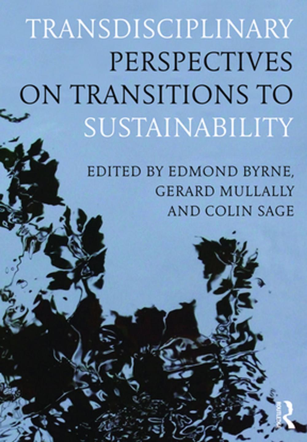 Big bigCover of Transdisciplinary Perspectives on Transitions to Sustainability