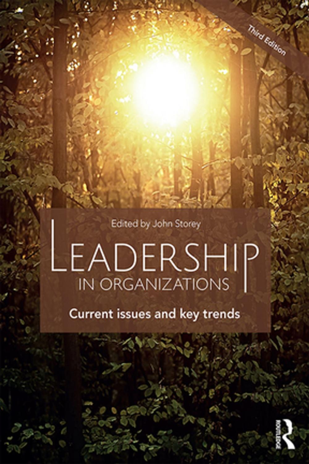 Big bigCover of Leadership in Organizations