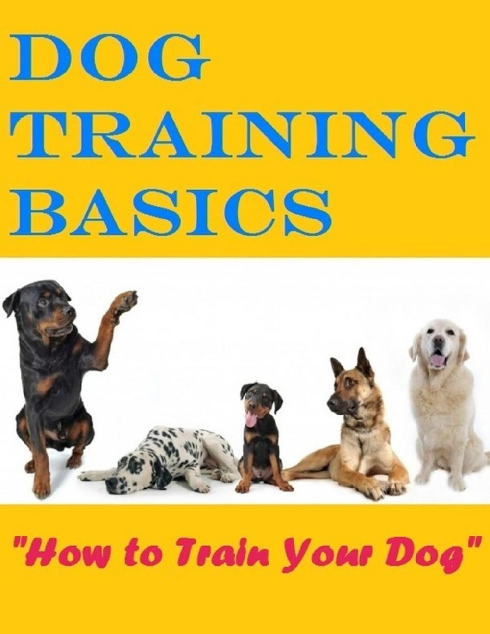 Big bigCover of Dog Training Basics - How to Train Your Dog