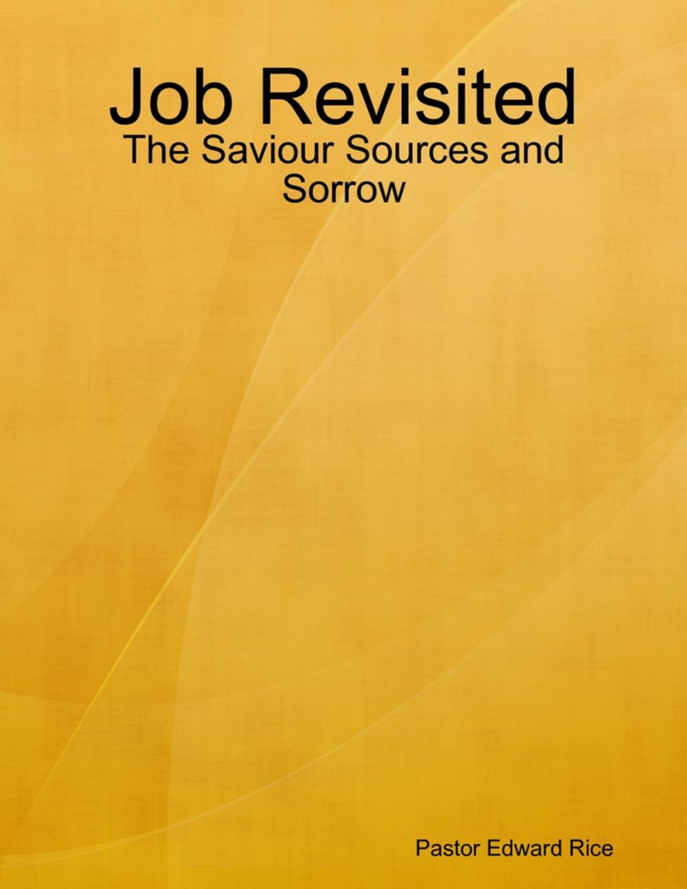 Big bigCover of Job Revisited - The Saviour Sources and Sorrow