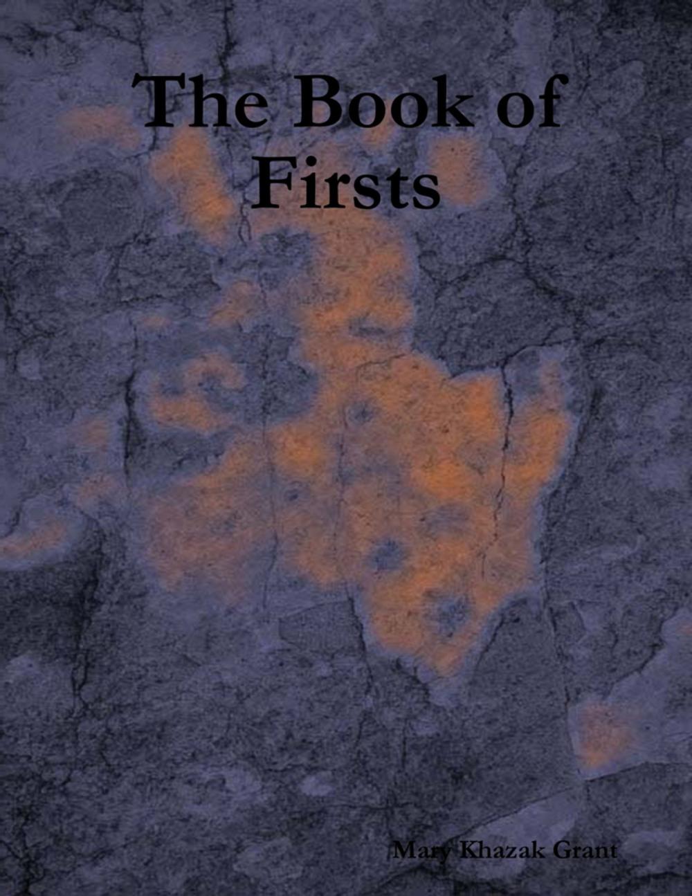 Big bigCover of The Book of Firsts