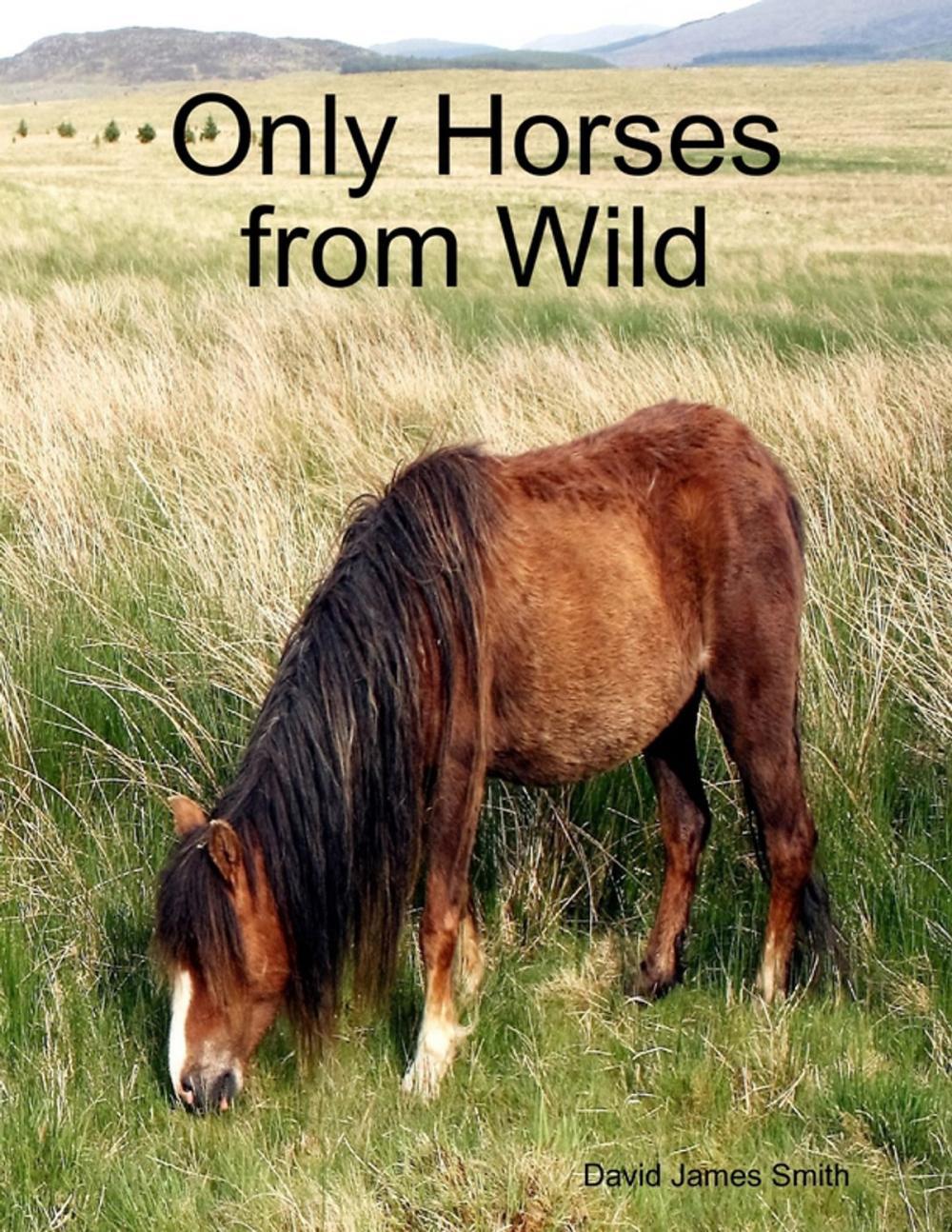 Big bigCover of Only Horses from Wild