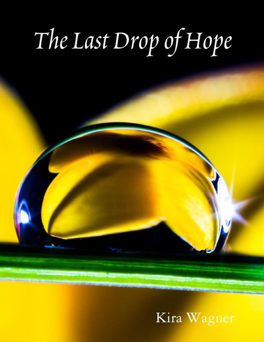 Big bigCover of The Last Drop of Hope