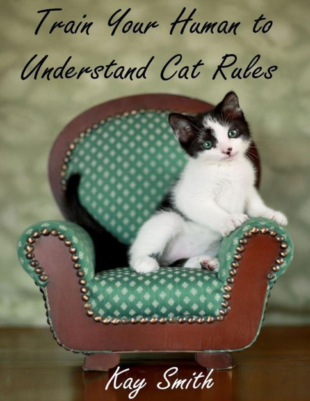 Big bigCover of Train Your Human to Understand Cat Rules