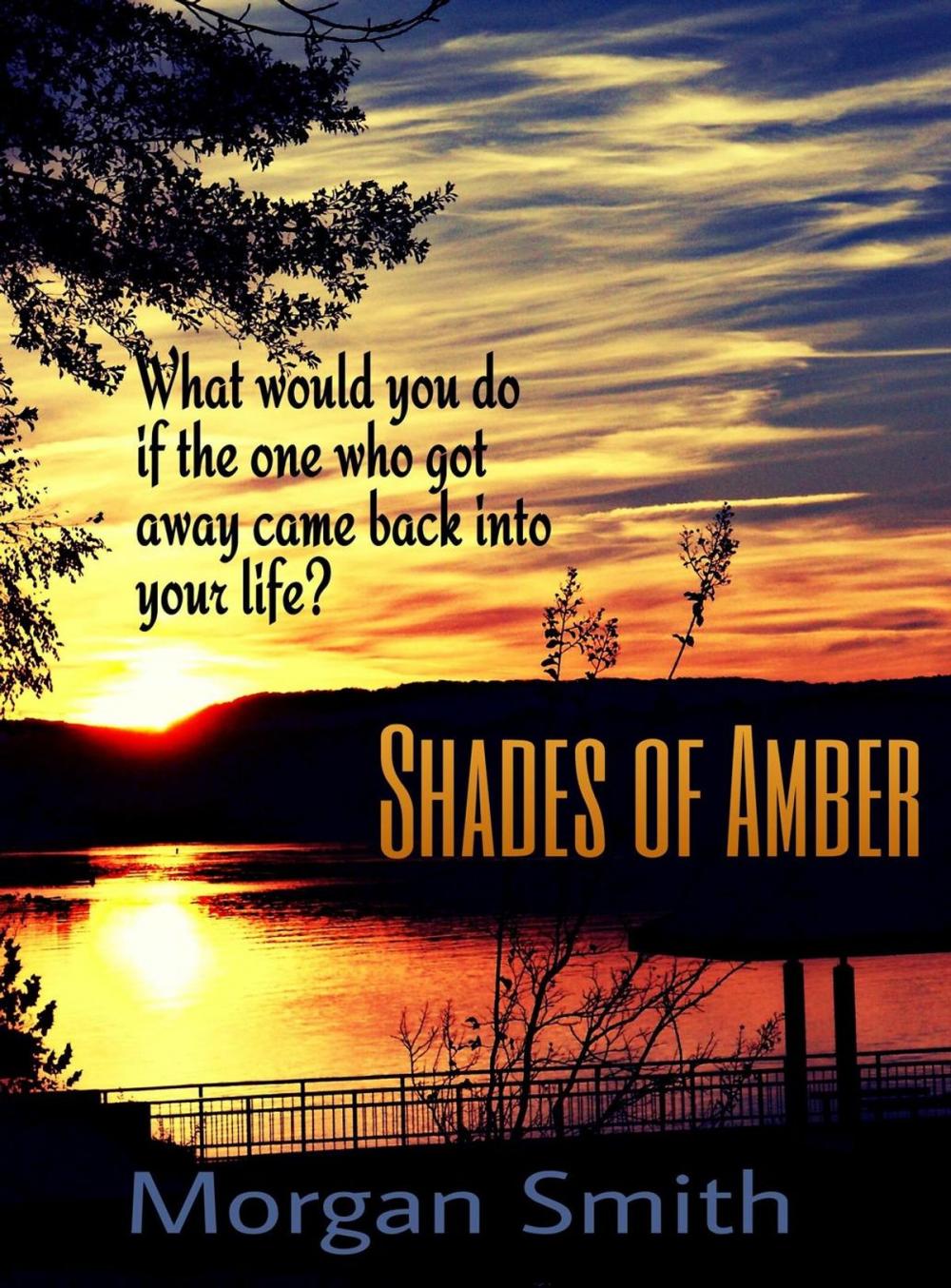 Big bigCover of Shades of Amber