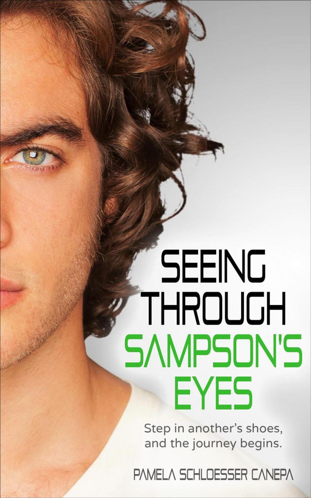 Big bigCover of Seeing Through Sampson's Eyes