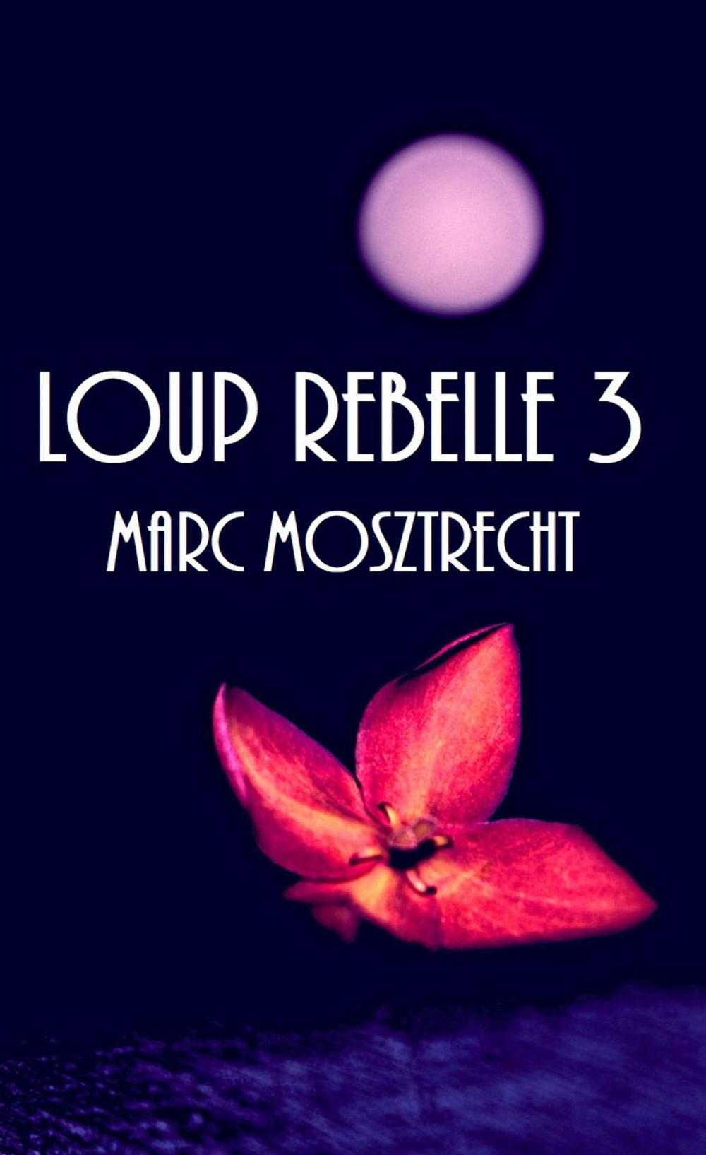 Big bigCover of Loup Rebelle 3