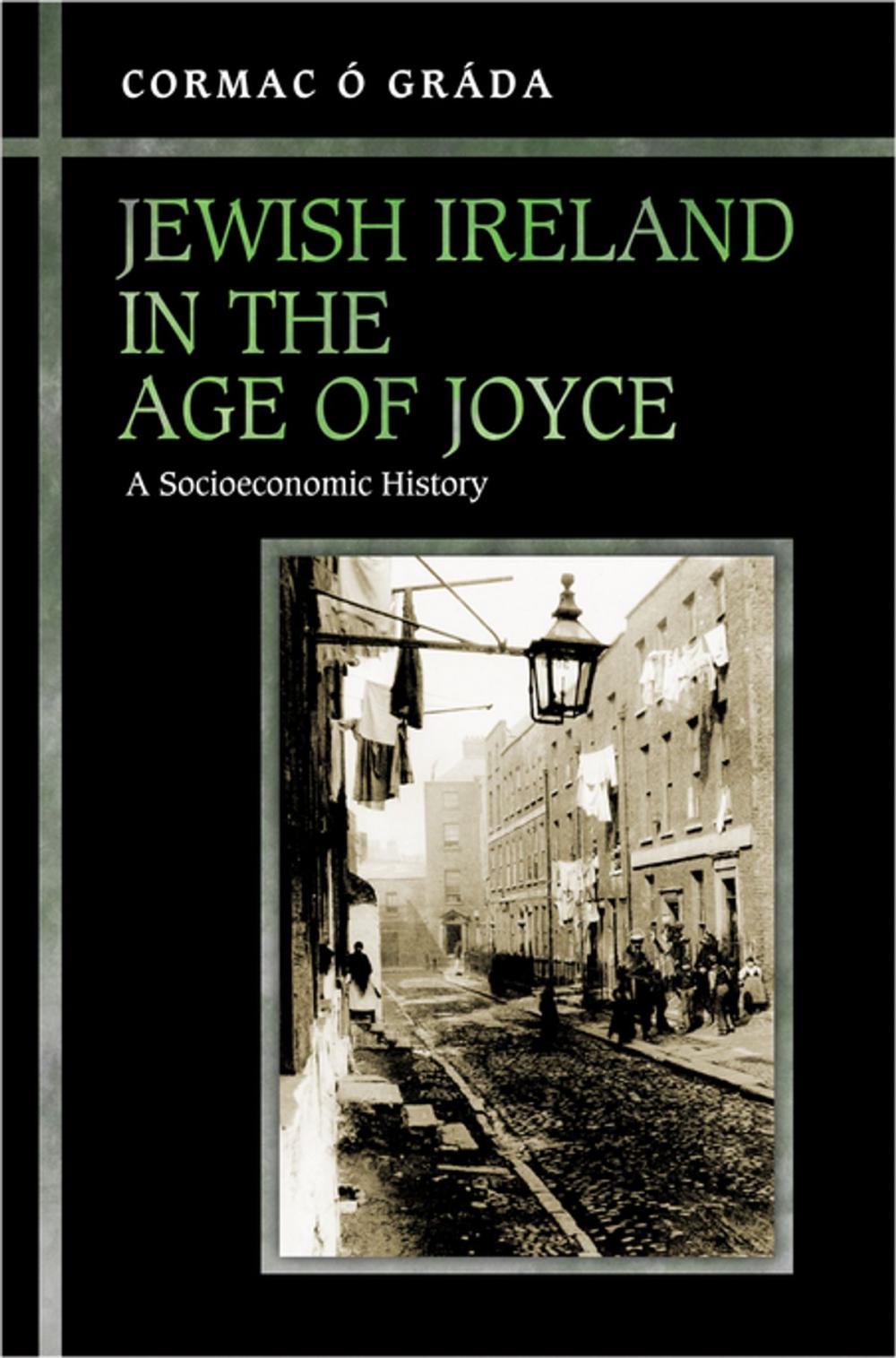 Big bigCover of Jewish Ireland in the Age of Joyce