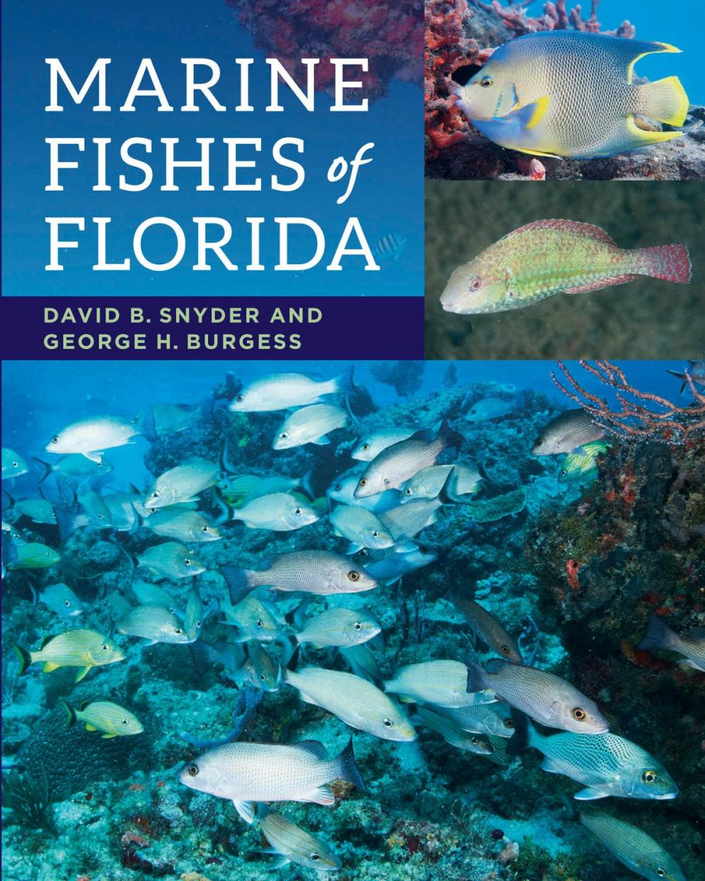 Big bigCover of Marine Fishes of Florida