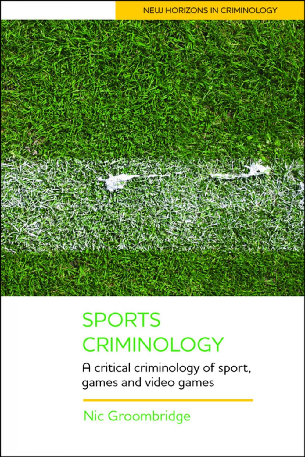 Big bigCover of Sports criminology