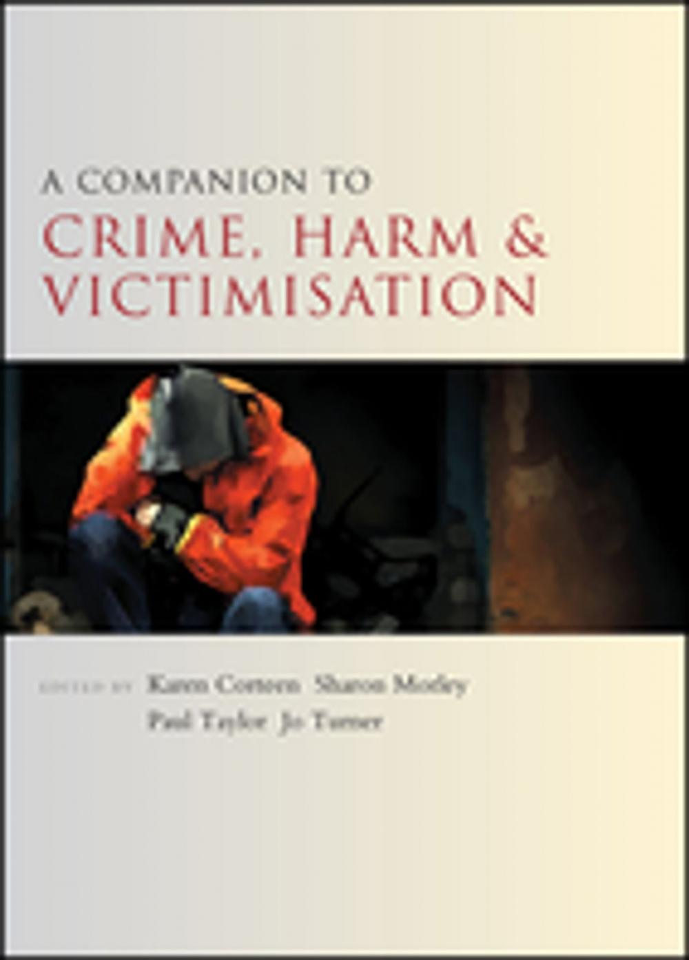 Big bigCover of A companion to crime, harm and victimisation