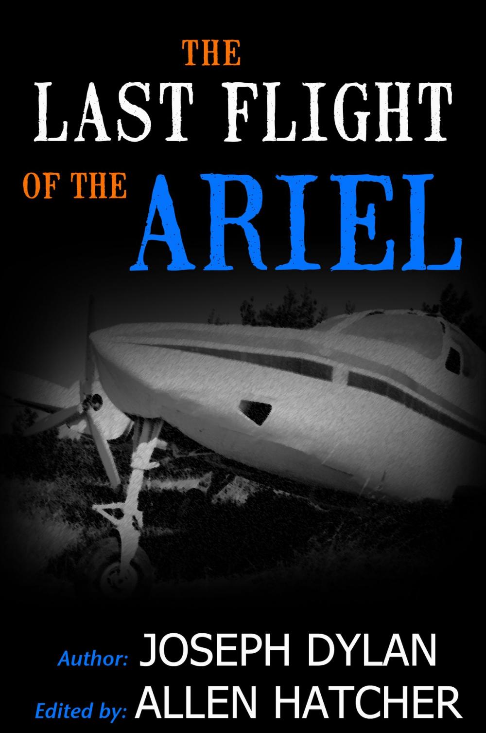 Big bigCover of The Last Flight of the Ariel