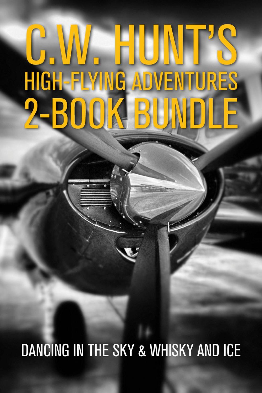 Big bigCover of C.W. Hunt's High-Flying Adventures 2-Book Bundle