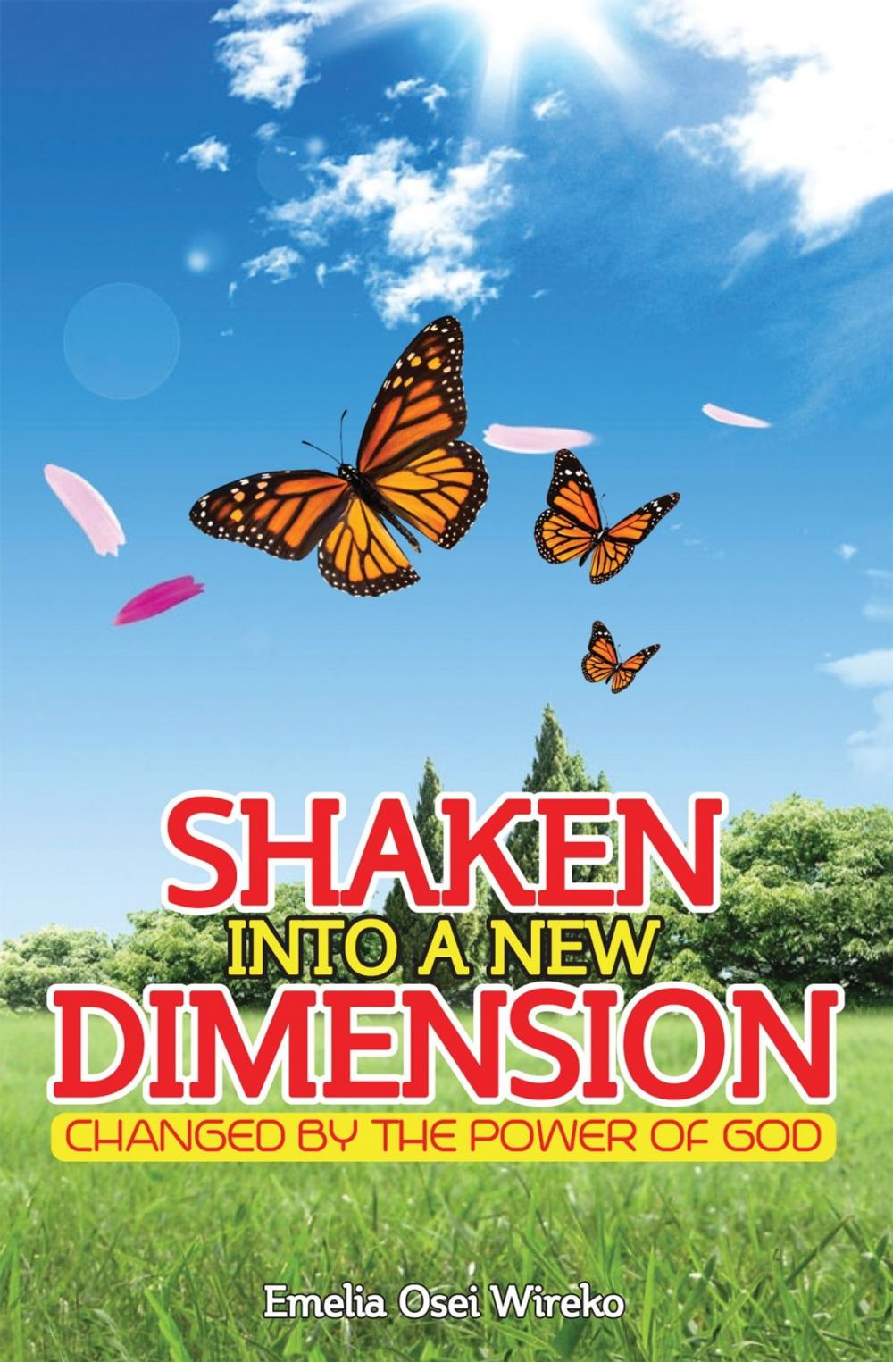 Big bigCover of Shaken Into a New Dimension