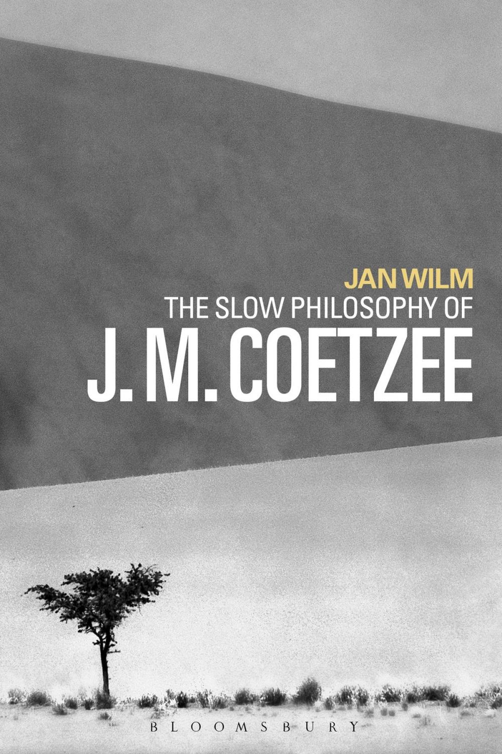 Big bigCover of The Slow Philosophy of J. M. Coetzee