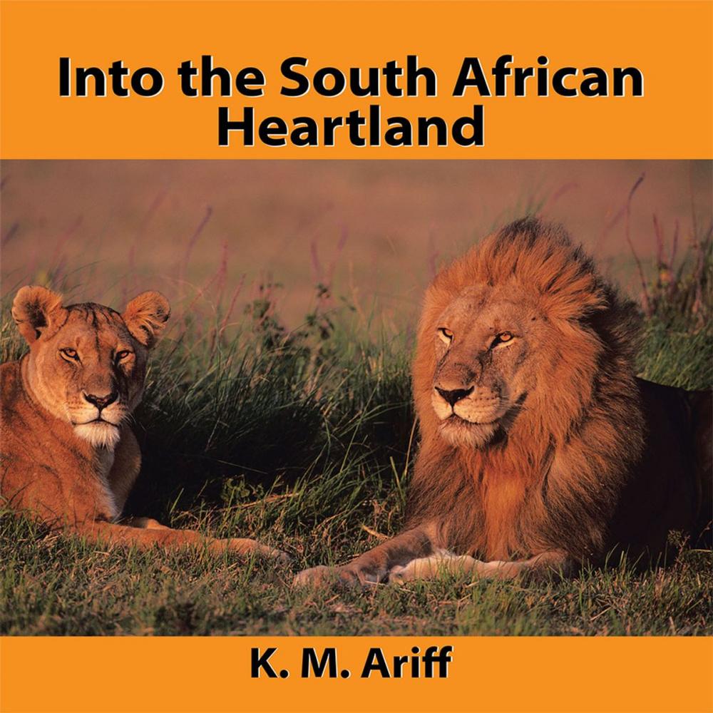 Big bigCover of Into the South African Heartland