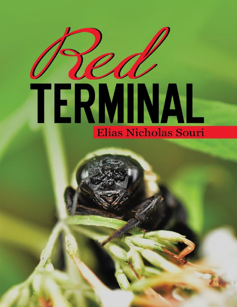 Big bigCover of Red Terminal