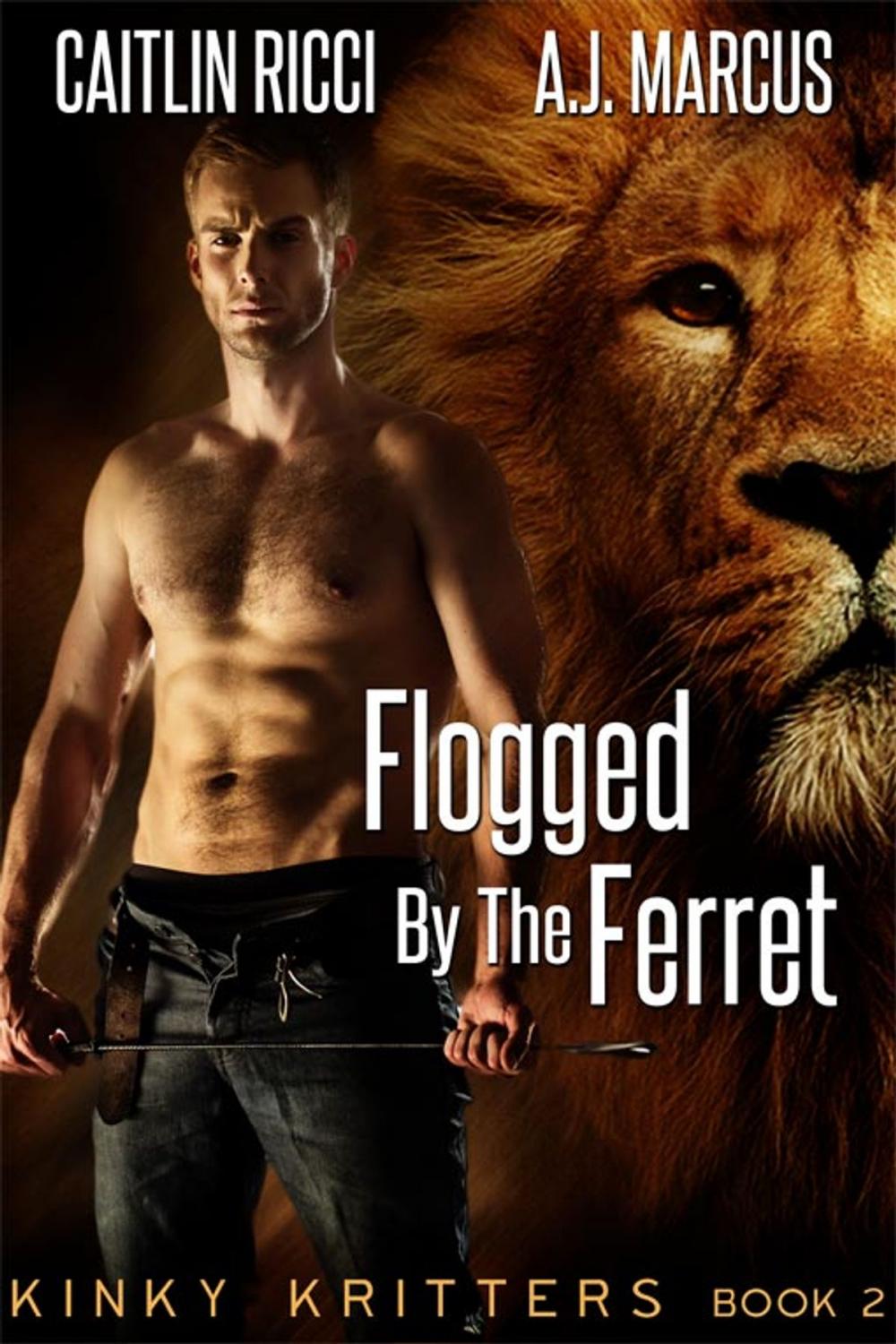 Big bigCover of Flogged by the Ferret