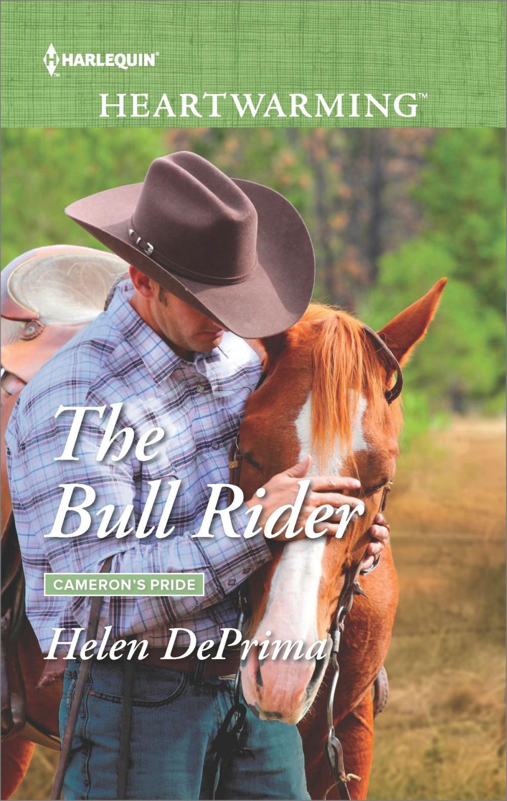 Big bigCover of The Bull Rider