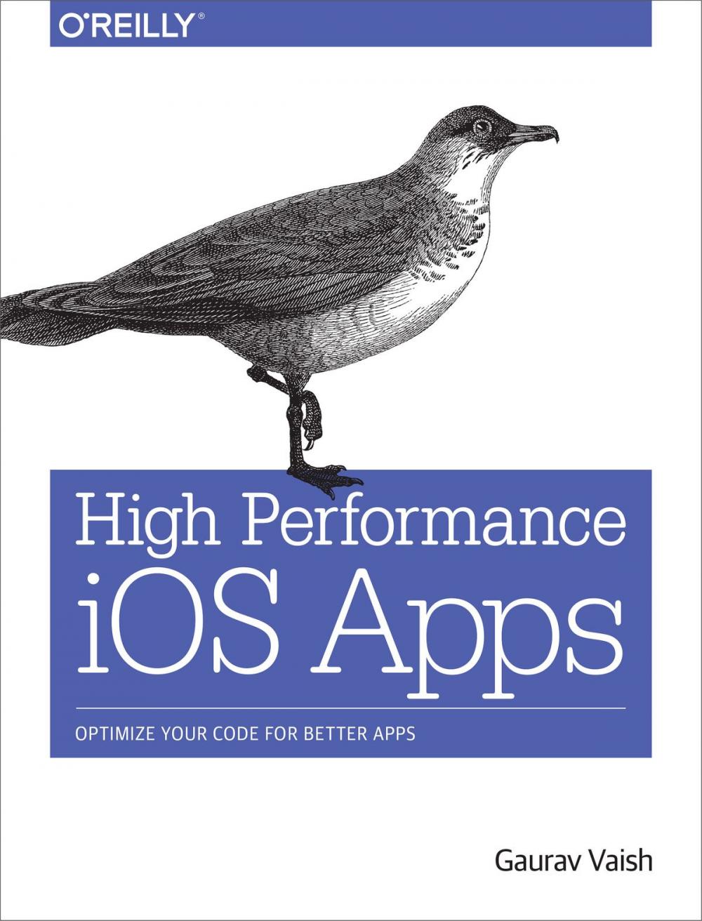 Big bigCover of High Performance iOS Apps