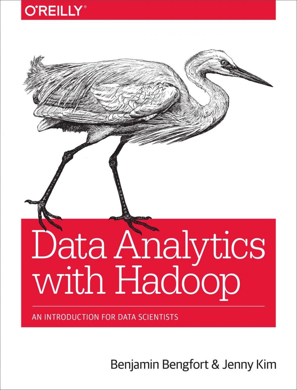 Big bigCover of Data Analytics with Hadoop