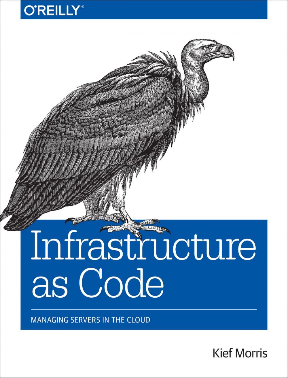 Big bigCover of Infrastructure as Code