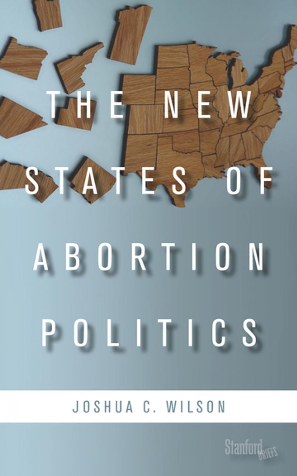 Big bigCover of The New States of Abortion Politics