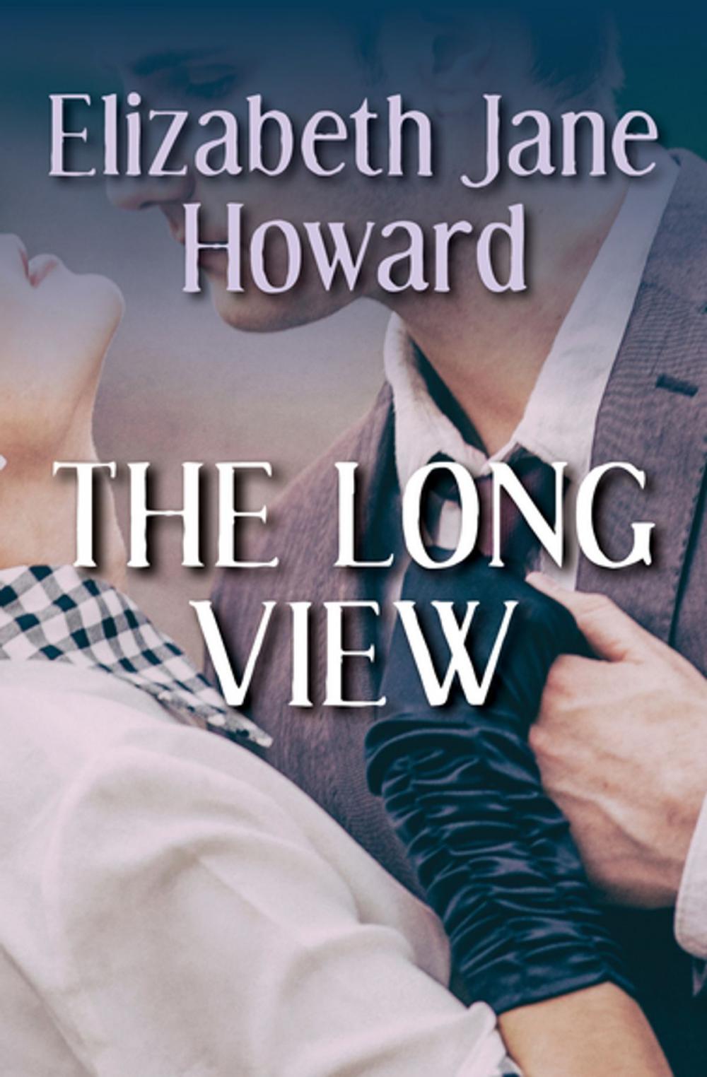 Big bigCover of The Long View