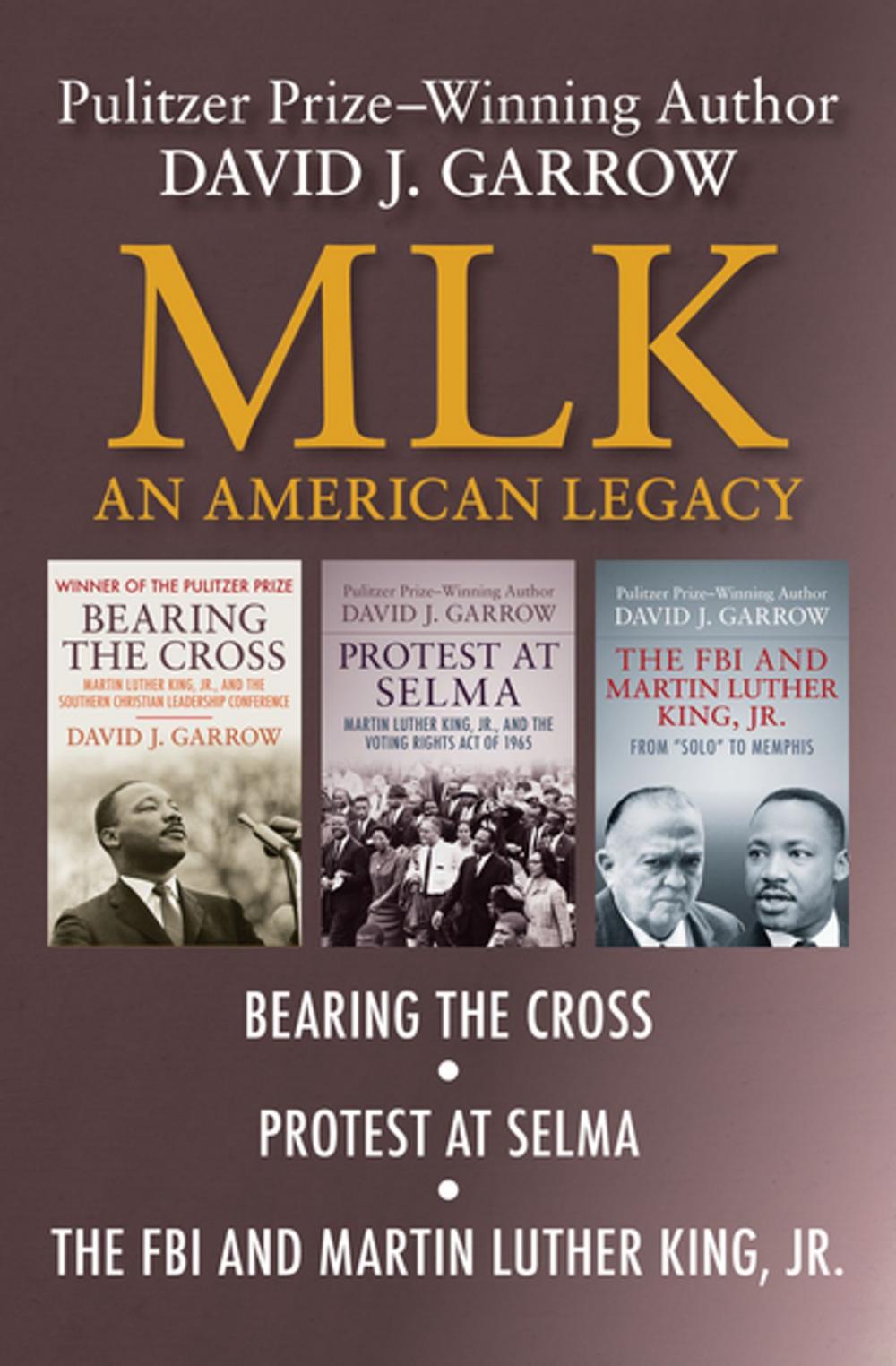 Big bigCover of MLK: An American Legacy