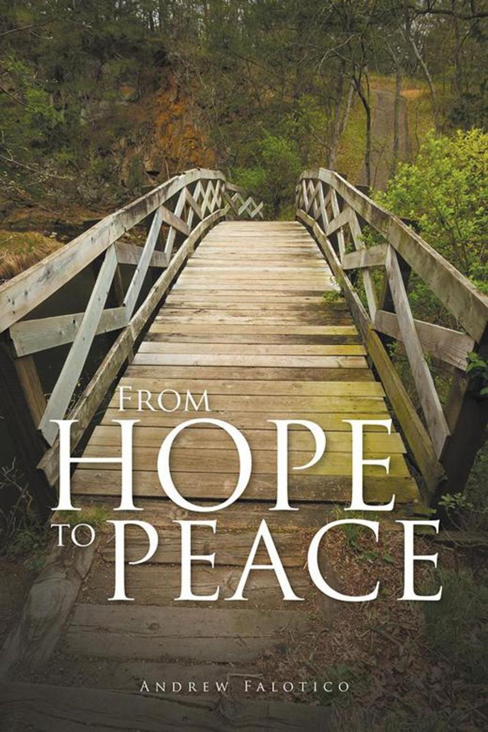 Big bigCover of From Hope to Peace