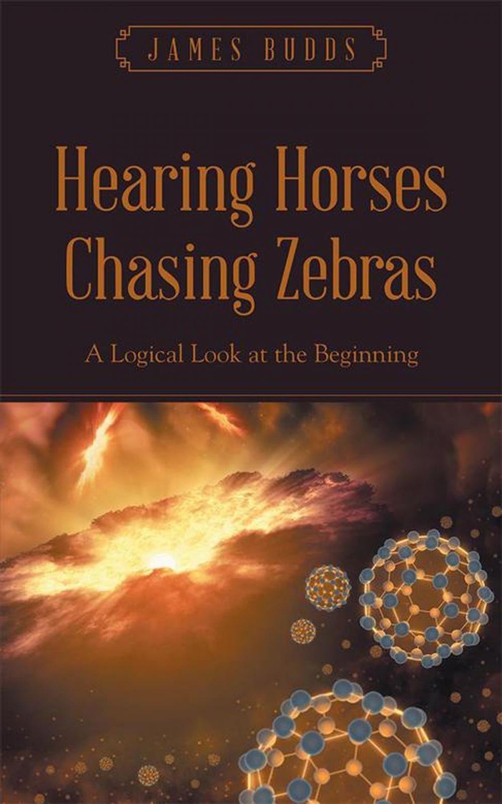 Big bigCover of Hearing Horses Chasing Zebras