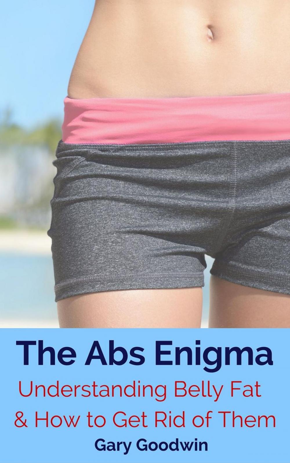 Big bigCover of The Abs Enigma: Understanding Belly Fat and How to Get Rid of Them