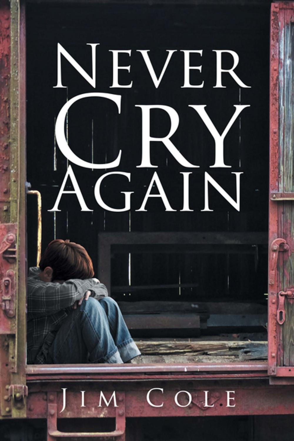 Big bigCover of Never Cry Again