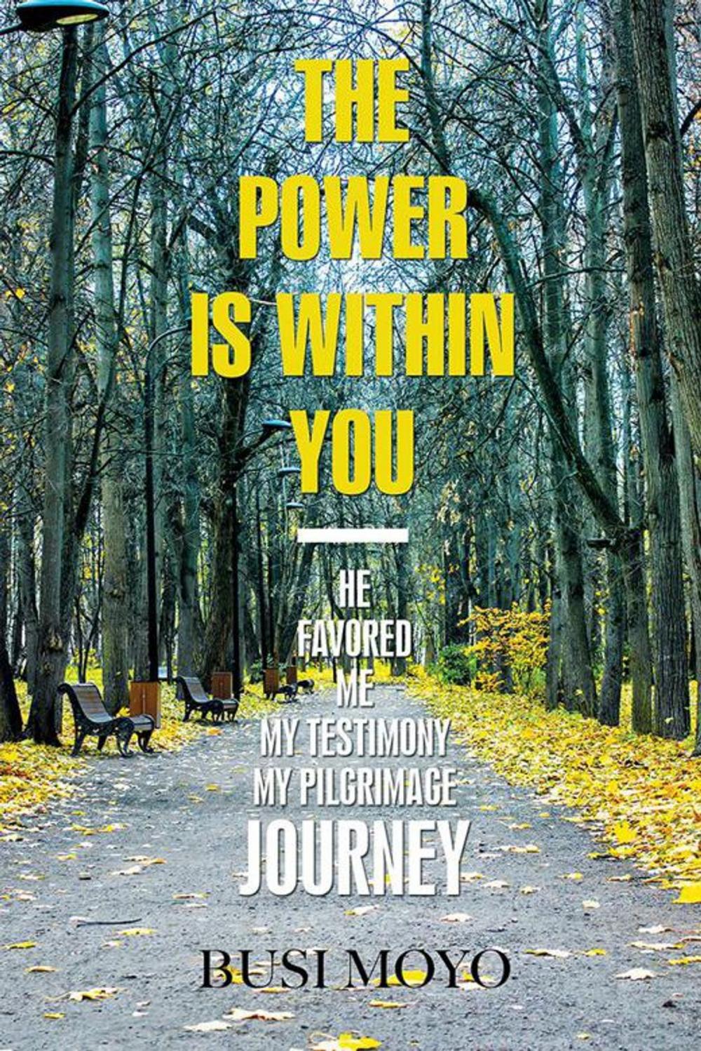 Big bigCover of The Power Is Within You